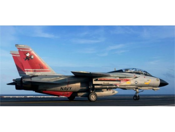 Grumman F-14D Super Tomcat
