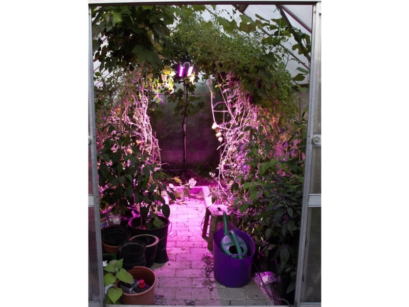 Venso LED-plantelampe vækst 65 cm 230 V LED indbygget 60 W RGBW 1 stk