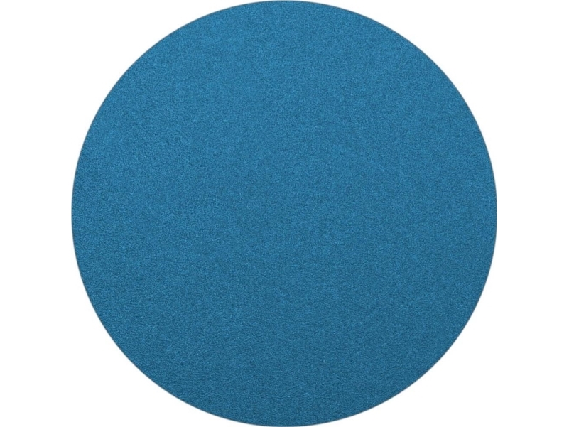 Dedra Abrasive Disc 305Mm Replacement 120 - Ded781022