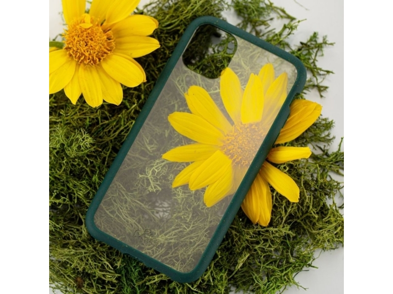 Pela Clear - Miljøvenligt Iphone 11-Cover - Sort