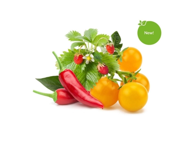 Click & Grow Click and Grow - Smart Garden Refill 9-pack Fruit and Veggie Mix