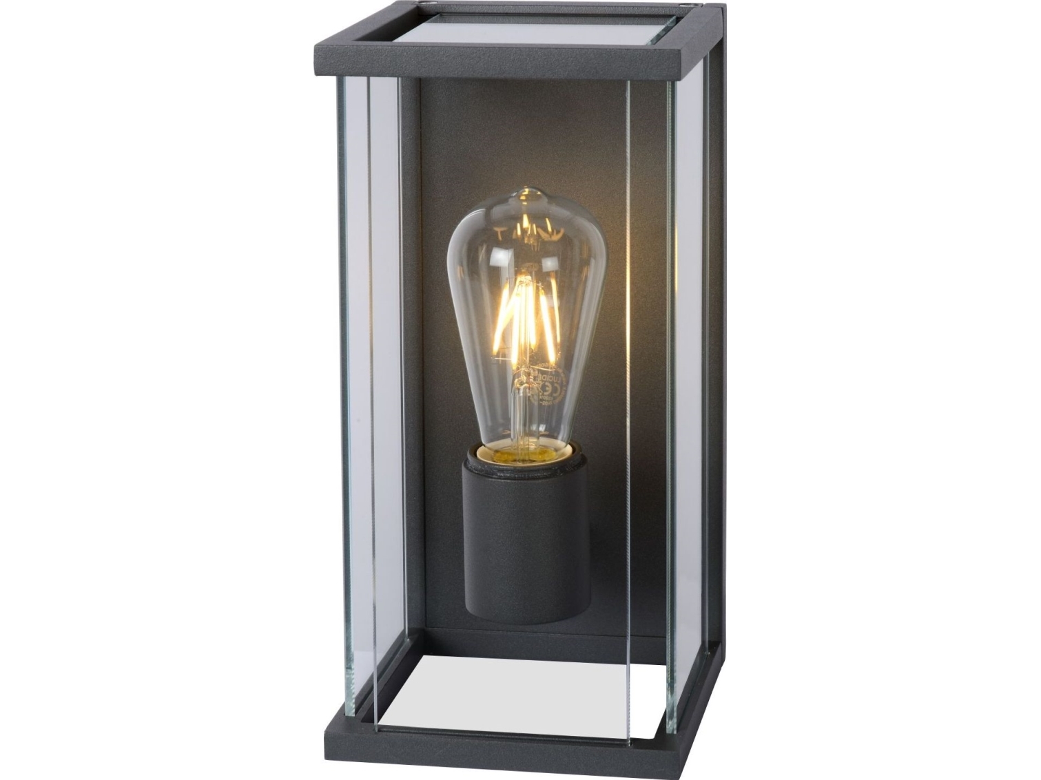 Außen-Wandleuchte Lucide Claire-Led 27883/11/30 Transparent