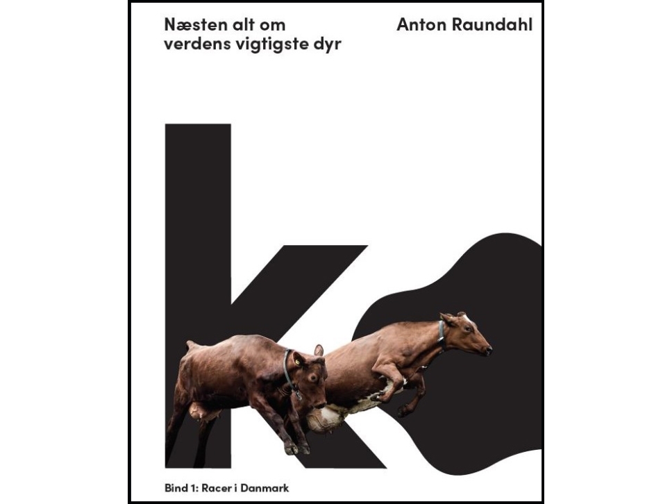 Ko – næsten alt om verdens vigtigste dyr | Anton Raundahl