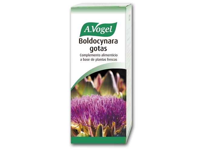 A. VOGEL Vogel Boldocynara 100 ml