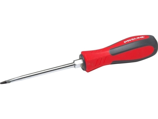 Proline 10114 Slotted Screwdriver For Tamping 6X100 Mm Proline