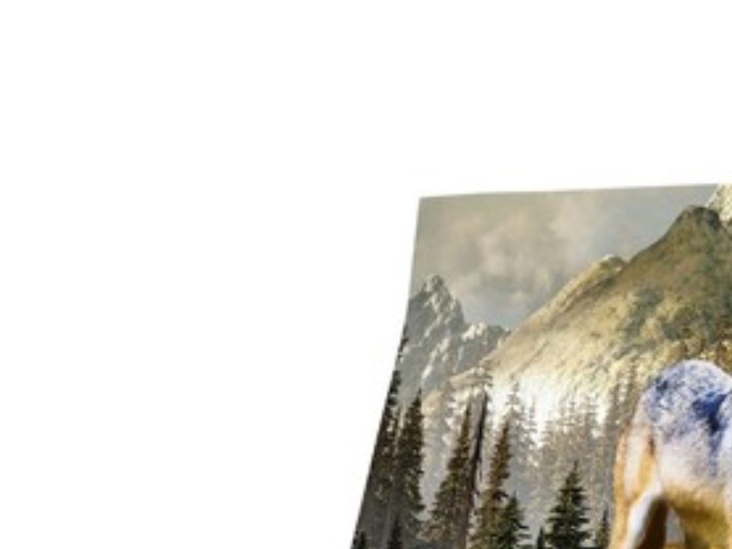 Carnilove Hundefoder, and og fasan, voksne hunde 4 kg