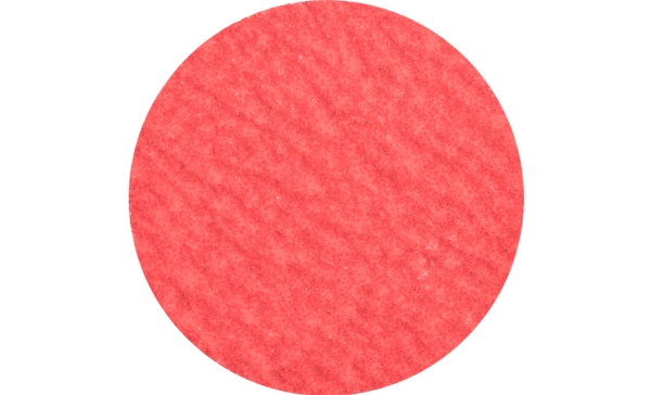 Pferd Combidisc Mini Fibre Discs Cd/Cdr, 5 Cm, 100 Stk