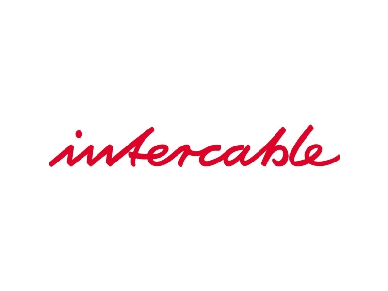 Intercable 702866 Bærerem