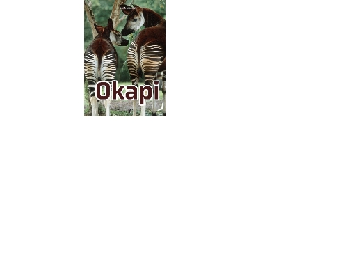Okapi | Henrik Enemark