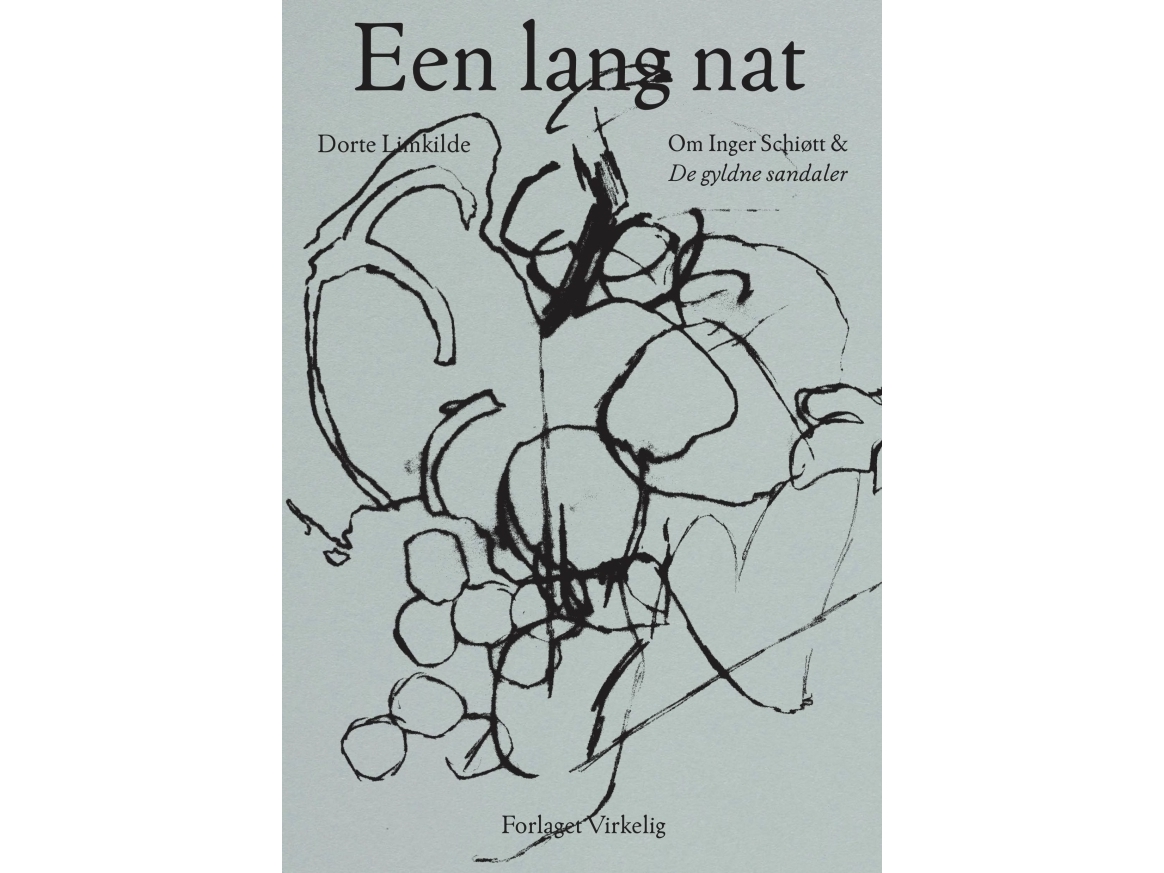 De Gyldne Sandaler Og Een Lang Nat | Inger Schiøtt Og Dorte Limkilde | Sprache: Dänish