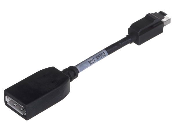 Hp Mini Displayport Til Displayport Adapterkabel Han-Stik
