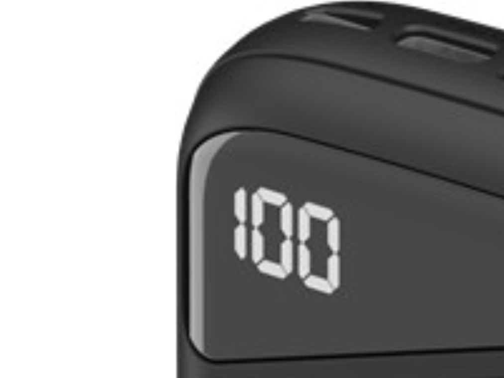 Wentronic Wentronic 53939 20000 Mah Black (53939)