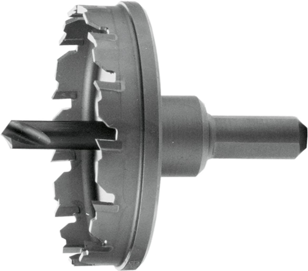 Pferd 25404308