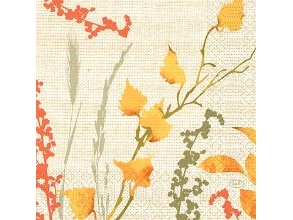 Serviet 33X33 Cm 3-Lag Fall Beauty,10 Pk X 50 Stk/Krt