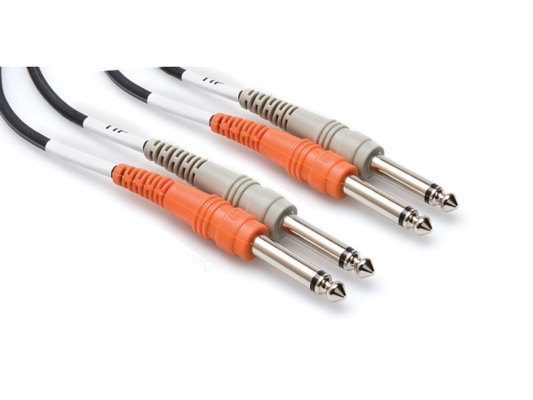 Hosa Technology 2 X Trs/2 X Trs, 2 X 6.35Mm, Männlich, 6.35Mm Trs, Männlich, 2 M, Schwarz