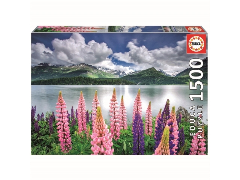 Educa 1500 Lupins On The Shores Of Lake Sils, Ch