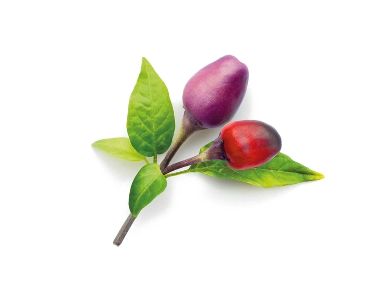 Click & Grow 4742793008745, Ätlig växt, Chilipeppar, Startpaket, 3 styck | Trädgården - Jord & Växter - Frön & lök | GameStuff