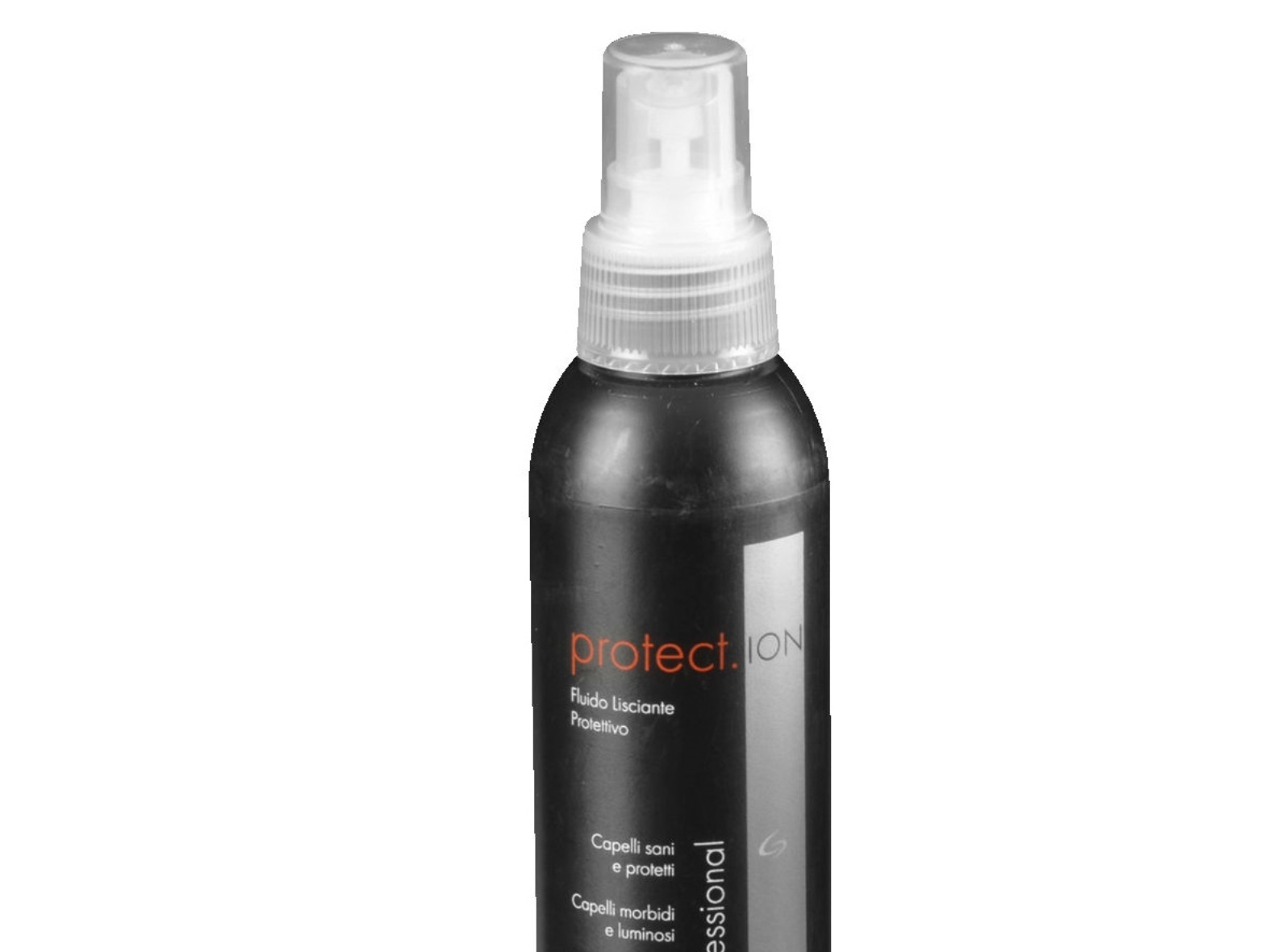 Gama Italy Professional Av31.Protection Ion Spray