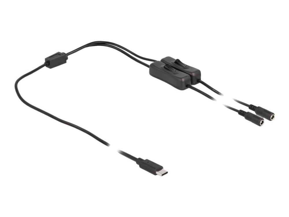 Delock - Strøm-Splitter - 24 Pin Usb-C (Han) Til Dc Jackstik 5,5 X 2,1 Mm (Hun) - 1 M - Sort