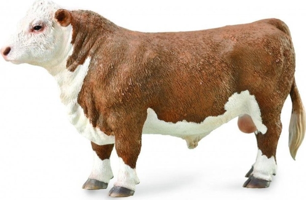 Figurka Collecta HEREFORD BULL (POLLED)