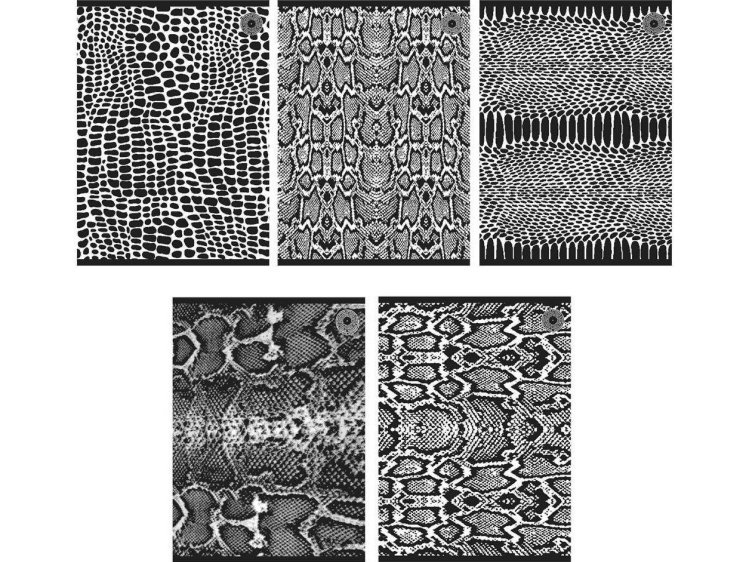 Notebook A5/80K line Snakes 1 (5 stk) |