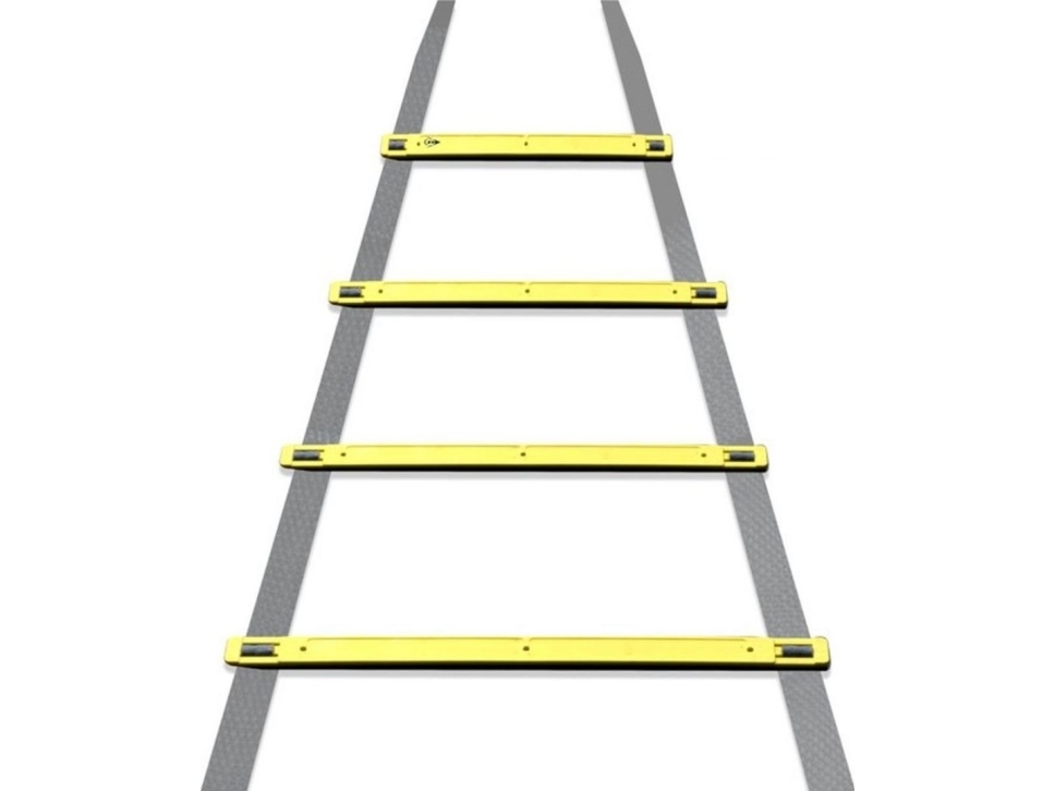 Dunlop Koordineringsstige