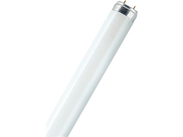 Osram L 30 W/865, 30 W, 2350 Lm