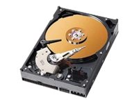 Coreparts 40Gb Ide 3.5", 3.5 Zoll, 40 Gb, 7200 Rpm