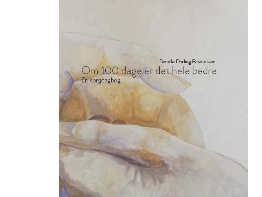 In 100 Tagen Wird Alles Besser Sein | Pernille Darling Rasmussen | Sprache: Dänish