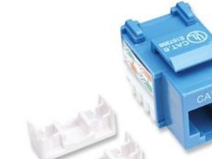 Intellinet 210737, Flad, Blå, Rj-45, Hunstik, 22/26, Cat6