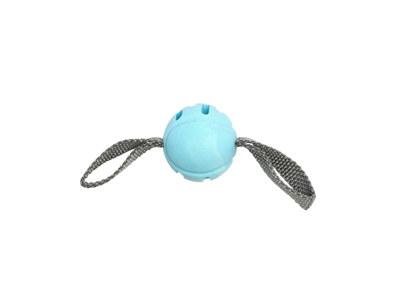 Dogman Toys Fetchball Blau