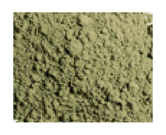 Vallejo Pigment Light Yellow Ocre