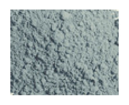 Pigments Light Sienna 35Ml