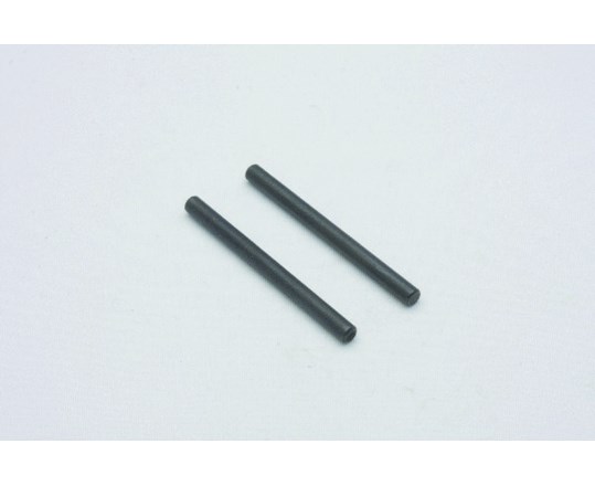 Rear Suspension Pins 2P