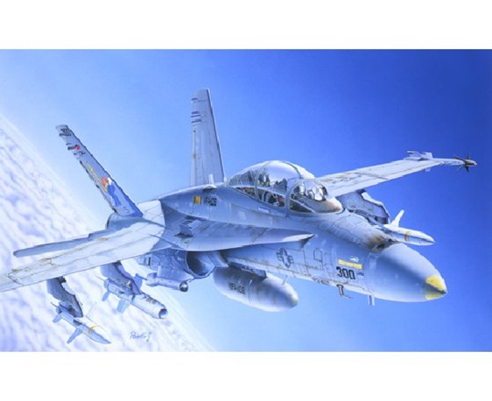 1:72 F/A-18C/D Wild Weasel