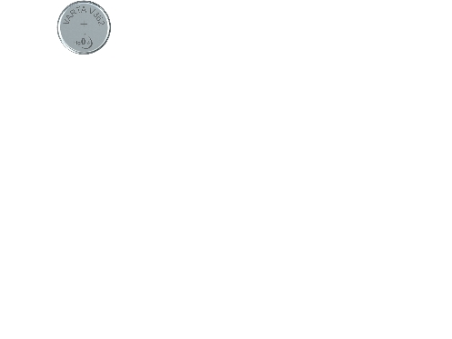 Batteri Varta Watch V362 1Stk/Pak J-Pack