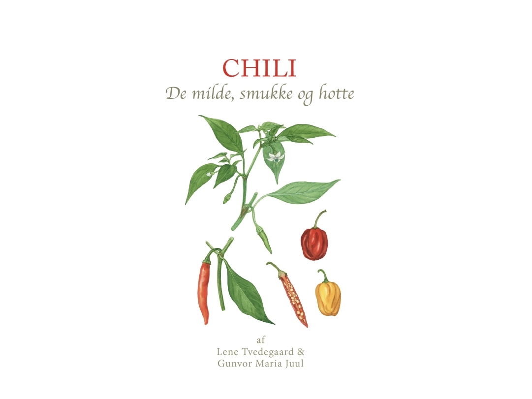 Chili | Lene Tvedegaard & Gunvor Maria Juul