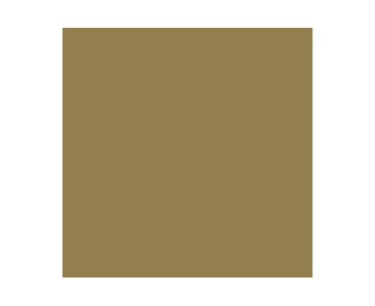 Vallejo Farbe Nr118 Middlestone 17Ml - 70882