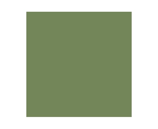 Vallejo Vallejo Model Air Pale Green 71.095 Uniwersalny