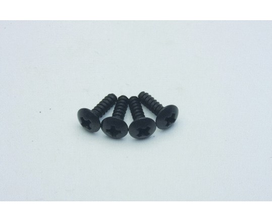Cap Head Self Tapping Screws 3*10 4P