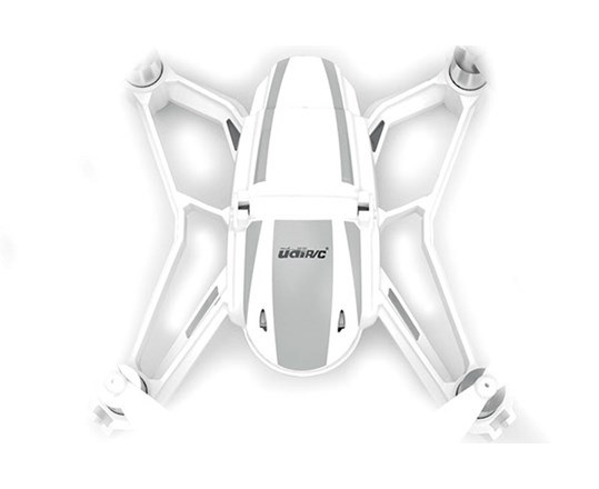 Main Body