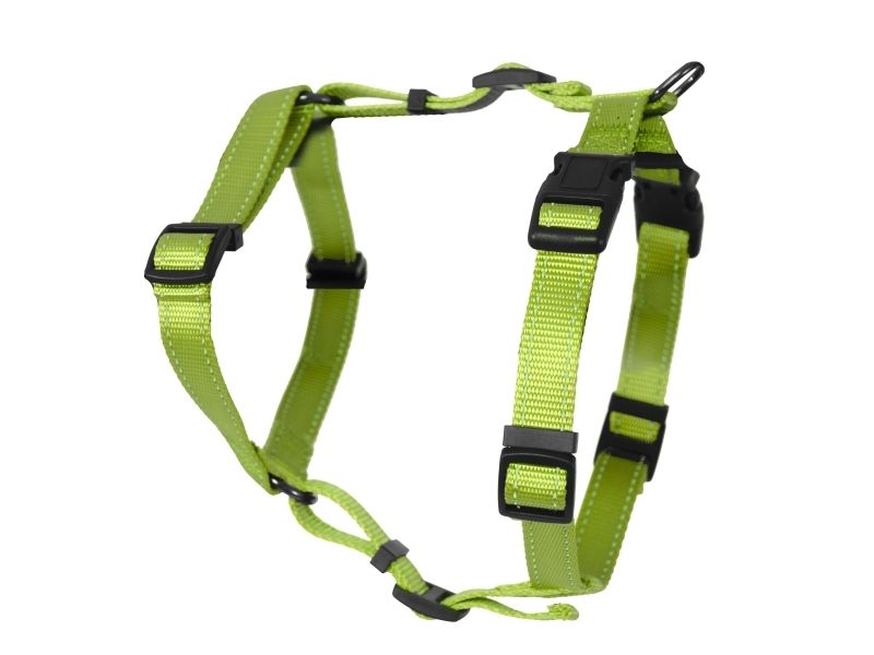 Dogman H-Sele Iris Grøn