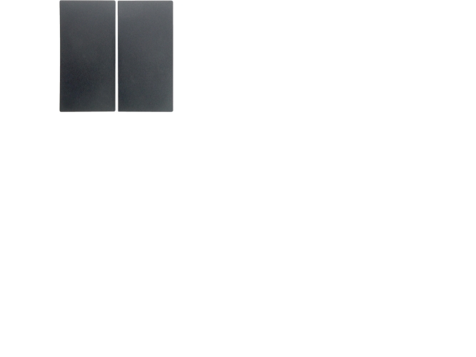 Berker Tangent dobbelt, S./B., antracit