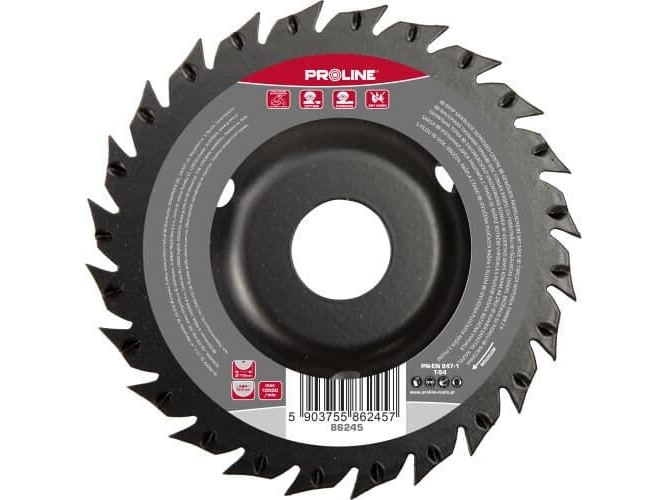 Profix Schleifscheibe Konvex Mit Groben Zähnen, Mit Sägeblatt, 125 Mm Proline