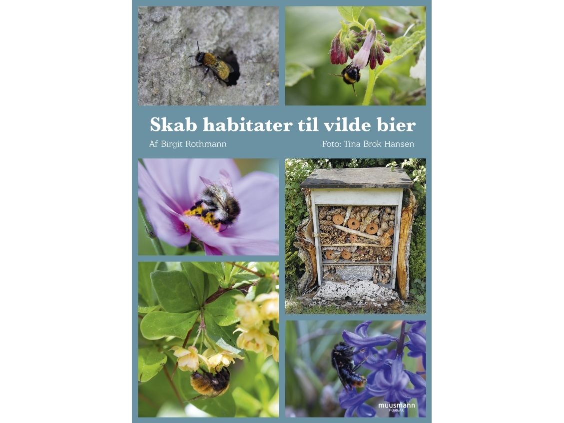 Skab habitater til vilde bier | Birgit Rothmann