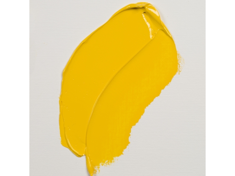Rembrandt Oil Colour Tube Cadmium Yellow Medium 271
