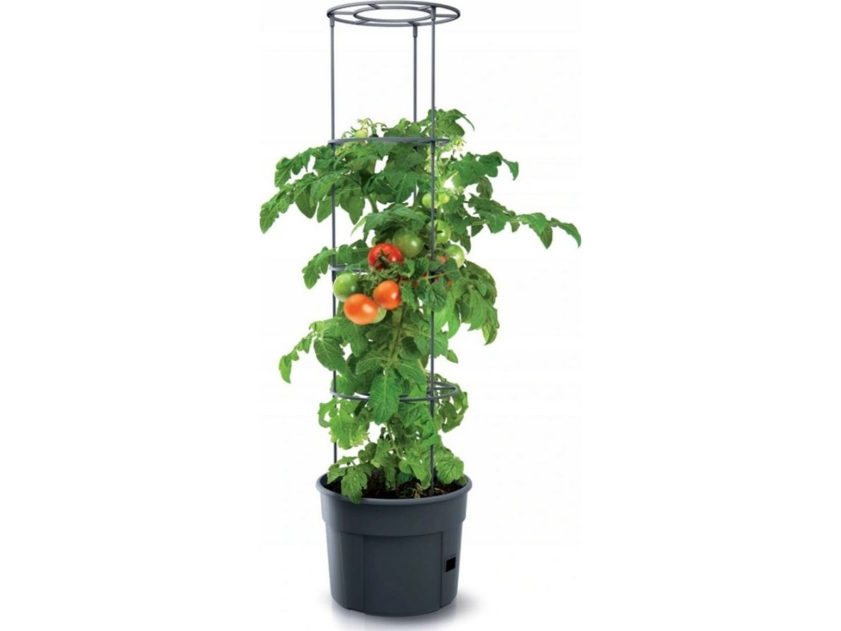 Prosperplast Doniczka Prosperplast Tomato Grower śr. 40 cm | Trädgården - Trädgårdstillbehör - Krukor & Kannor | GameStuff
