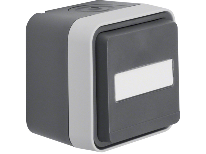 Berker 47413515 - Type F - - -40 - 30 °C - Grå - Termoplastisk - Ip55 - 250 V ( 47413515 )