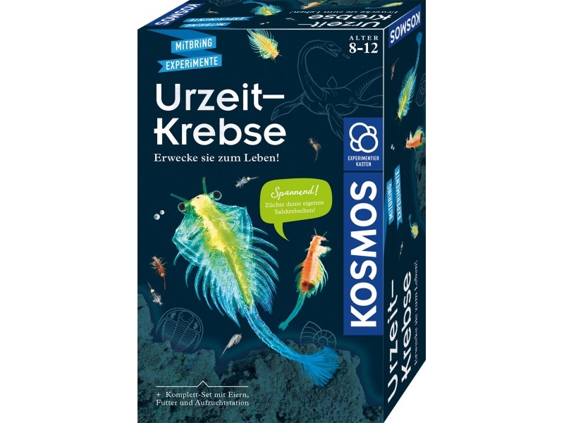 Kosmos 65787, Augmented Reality, 8 Jahr(E), Mehrfarbig