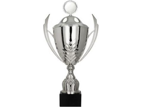 Victoria Sport Metallkopp med lock | Sport & Träning - Sportutrustning - Troféer | GameStuff